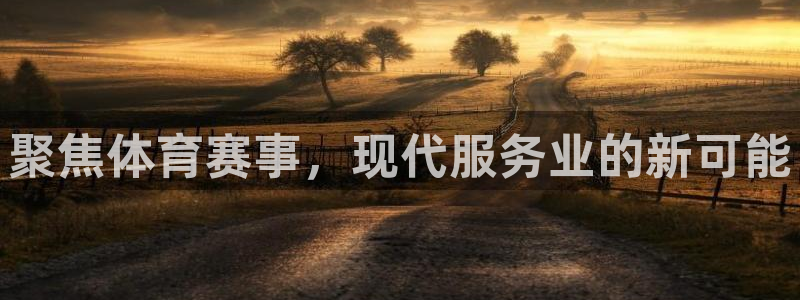 聚焦体育赛事，现代服务业的新可能