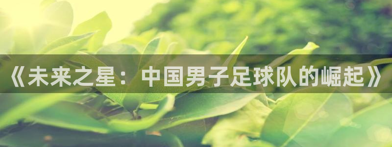 jytv600鲸鱼体育