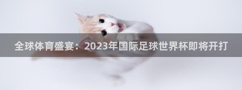 鲸鱼tv免费在线观看直播