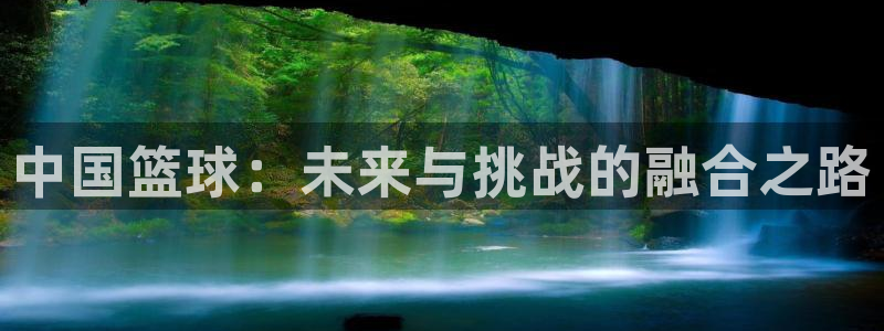 空客鲸鱼