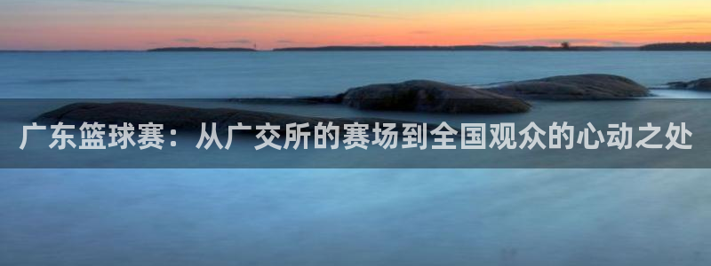 鲸鱼影业：广东篮球赛：从广交所的赛场到全国观众的心动之处