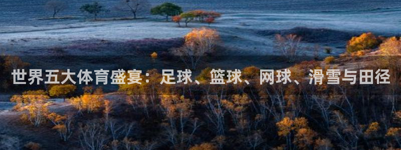下载鲸鱼体育直播app：世界五大体育盛宴