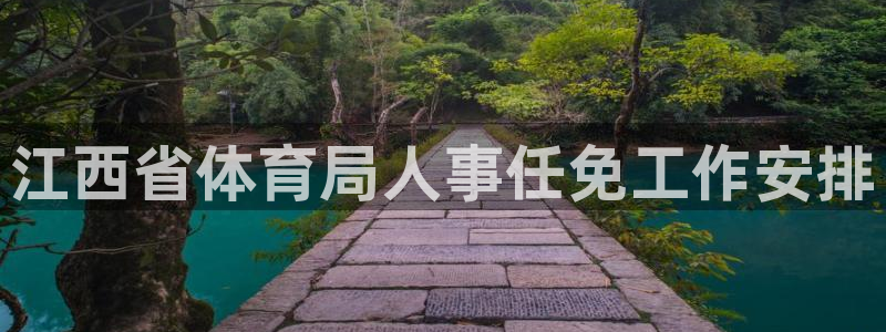 鲸鱼潜水：江西省体育局人事任免工作安排